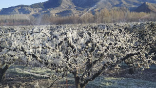 Les agriculteurs espagnols dans la tourmente Les agriculteurs espagnols dans la tourmente