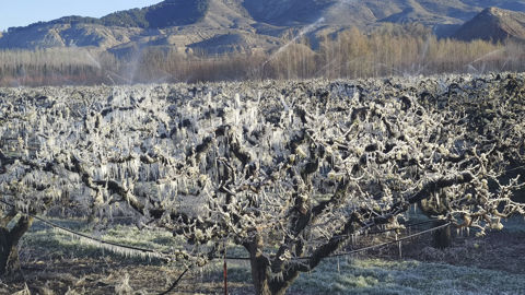Les agriculteurs espagnols dans la tourmente Les agriculteurs espagnols dans la tourmente