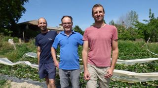 150 variétés de légumes en vente directe 150 variétés de légumes en vente directe