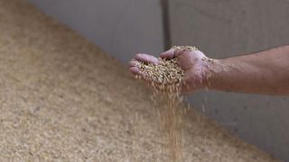 Une initiative pour la sécurité alimentaire des pays vulnérables Une initiative pour la sécurité alimentaire des pays vulnérables