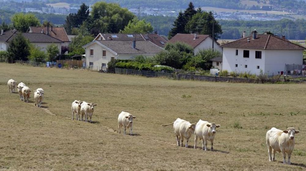 Déficit de pluies et mercure élevé pour les trois prochains mois