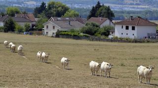 Déficit de pluies et mercure élevé pour les trois prochains mois Déficit de pluies et mercure élevé pour les trois prochains mois