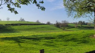 Un bon début de saison pour la pousse de l’herbe Un bon début de saison pour la pousse de l’herbe