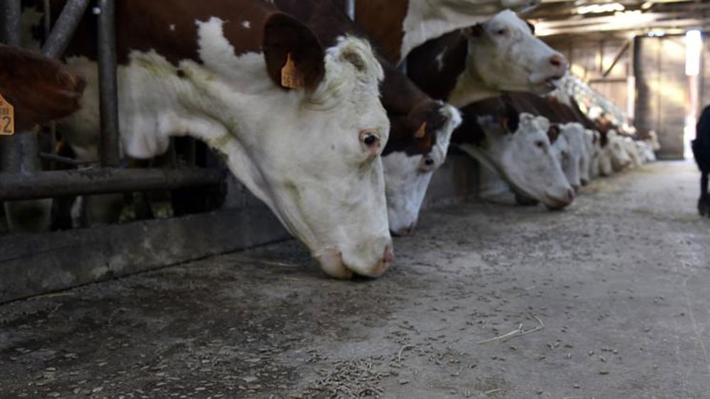 L’aide aux achats d’aliments approuvée par Bruxelles