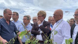 Des mesures pour les exploitations touchées par la grêle Des mesures pour les exploitations touchées par la grêle