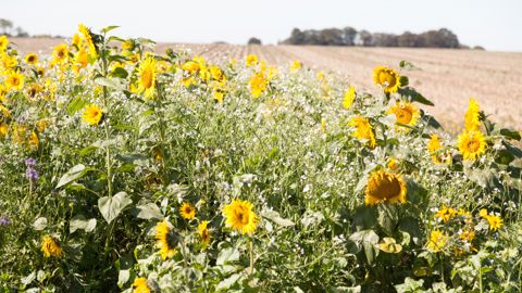 Évaluer son score agroécologique Évaluer son score agroécologique