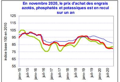 En novembre 2020, le prix d’achat des engrais azotés, des phosphates et des potassiques, est en recul sur un an. © Insee, Agreste