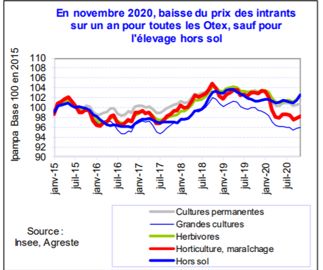 En novembre 2020, le prix des intrants sur un an diminue pour toutes les Otex, sauf pour l’élevage hors sol. © Insee, Agreste