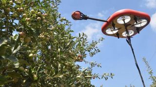 Kubota investit dans les robots de cueillette des fruits Kubota investit dans les robots de cueillette des fruits