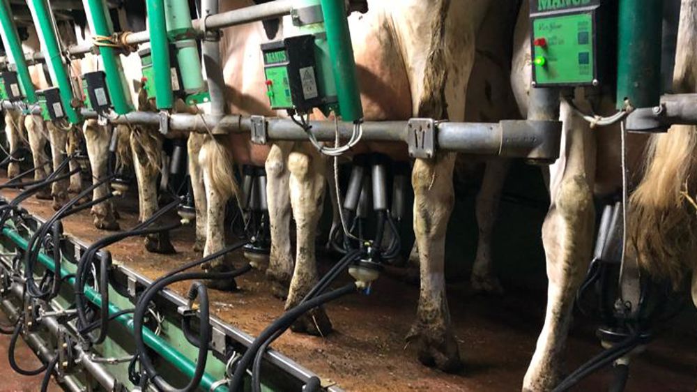 Le prix du lait européen s’érode en décembre