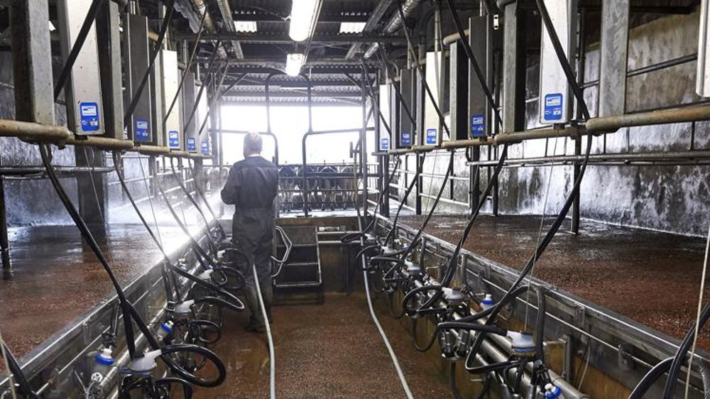 Fin 2020, le prix du lait européen reprend doucement des couleurs