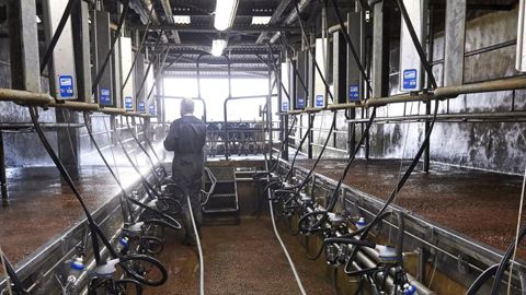 Fin 2020, le prix du lait européen reprend doucement des couleurs Fin 2020, le prix du lait européen reprend doucement des couleurs