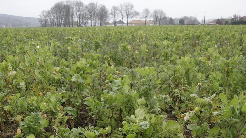 170 exploitations ont été labellisées par l’Apad