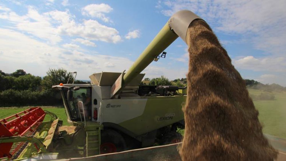 La prochaine récolte de blé s’annonce record