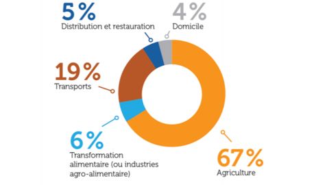 La phase de production représente la plus grande part de l’empreinte carbone de l’alimentation. © Ademe à partir des données de l’étude Cecam
