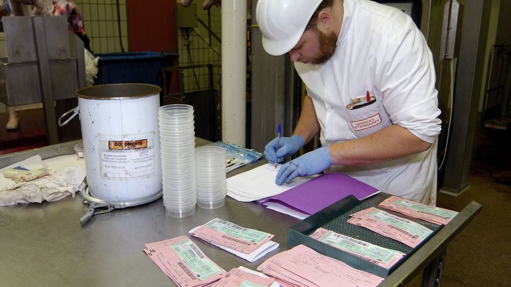 La France va demander à recouvrer un statut ESB à « risque négligeable »