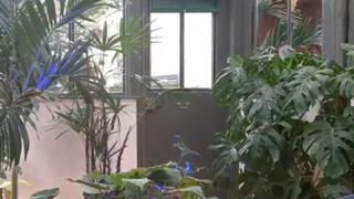Le renouvellement des générations en agriculture est une urgence Le renouvellement des générations en agriculture est une urgence