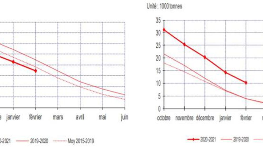 Les stocks de pommes reculent, ceux de poires progressent