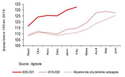 Les cours des pommes de la campagne de 2020-2021 sont nettement supérieurs à ceux des années précédentes, soutenus par la récolte limitée. © Agreste