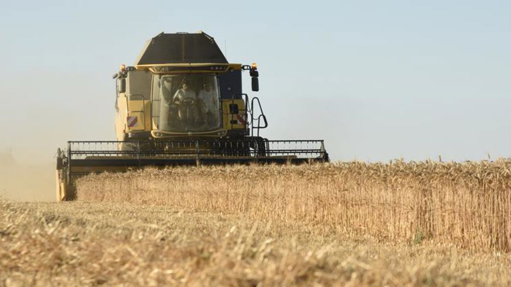 La production mondiale de céréales est revue à la hausse