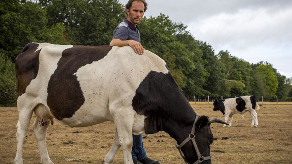 Deuxième « victoire judiciaire » pour l’agriculteur bio d’Adainville