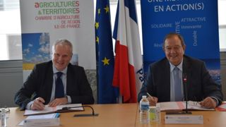 Le Grand Paris se penche sur son agriculture Le Grand Paris se penche sur son agriculture