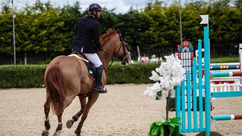 25 foyers de rhinopneumonie sont en lien avec les concours espagnols 25 foyers de rhinopneumonie sont en lien avec les concours espagnols
