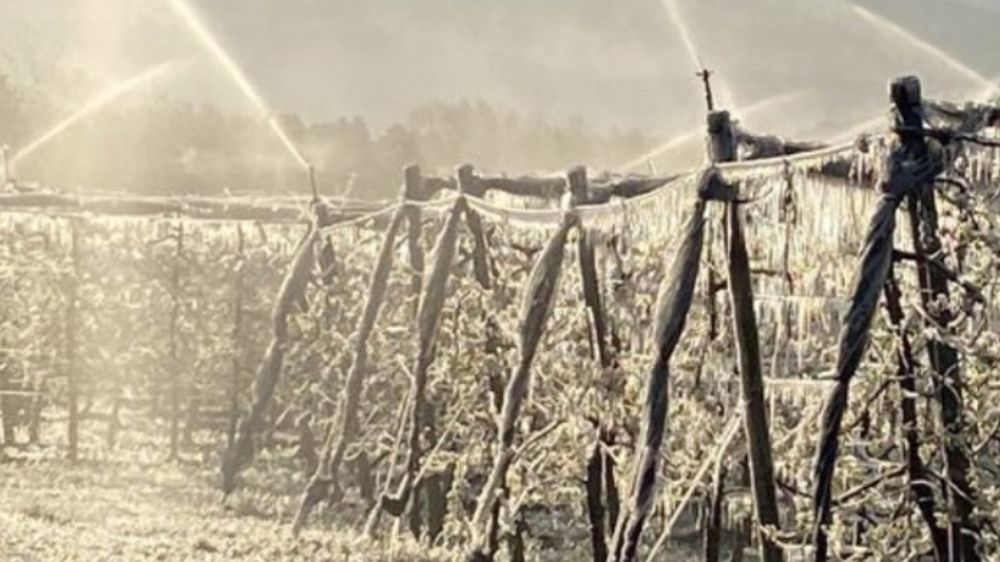 Julien Denormandie annonce l’ouverture du régime des calamités agricoles