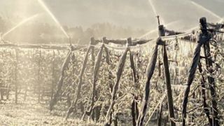 Julien Denormandie annonce l’ouverture du régime des calamités agricoles Julien Denormandie annonce l’ouverture du régime des calamités agricoles