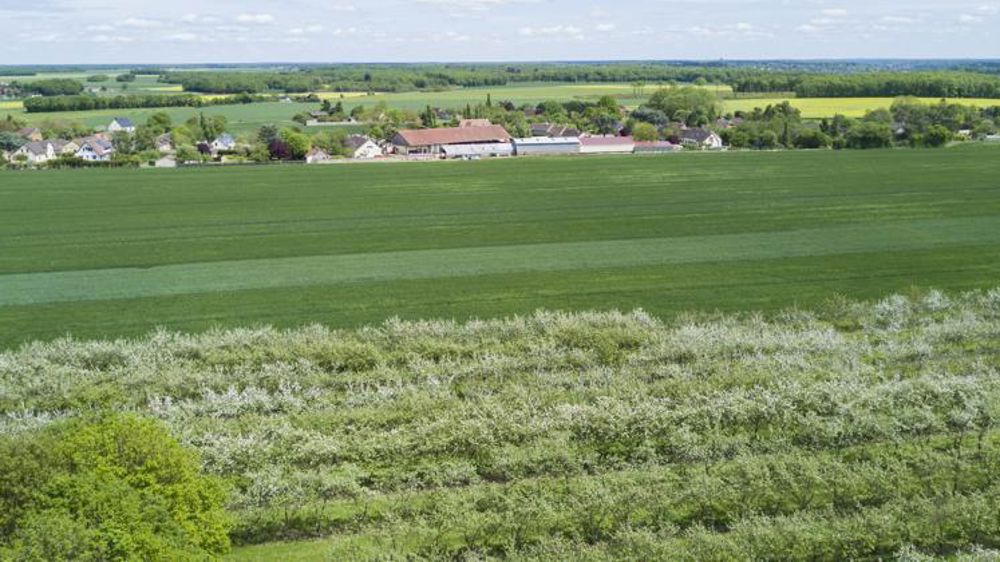 Les assureurs sont « ouverts à la baisse du seuil de déclenchement »