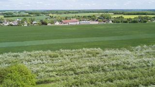Les assureurs sont « ouverts à la baisse du seuil de déclenchement » Les assureurs sont « ouverts à la baisse du seuil de déclenchement »