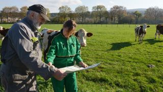 Les mesures du développement rural épinglées Les mesures du développement rural épinglées
