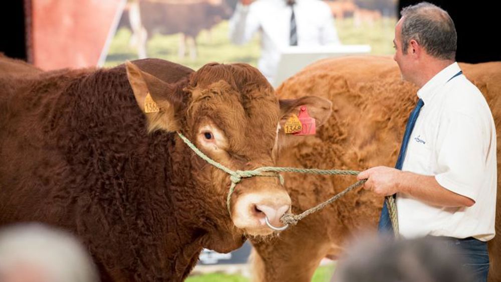 Le Congrès international limousin est annulé