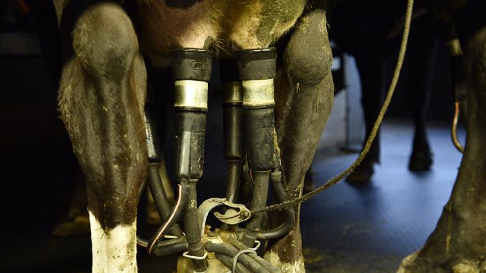 La valorisation beurre-poudre du lait dépasse son niveau de 2020