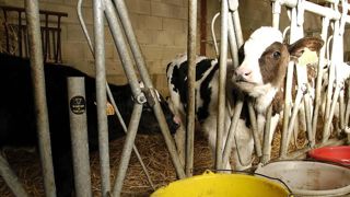 Les entreprises agroalimentaires voient rouge face à la hausse des coûts Les entreprises agroalimentaires voient rouge face à la hausse des coûts