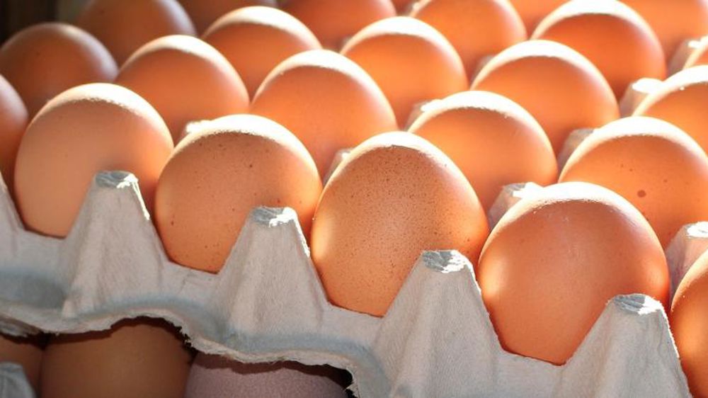 De la prison requise dans le procès des œufs au fipronil