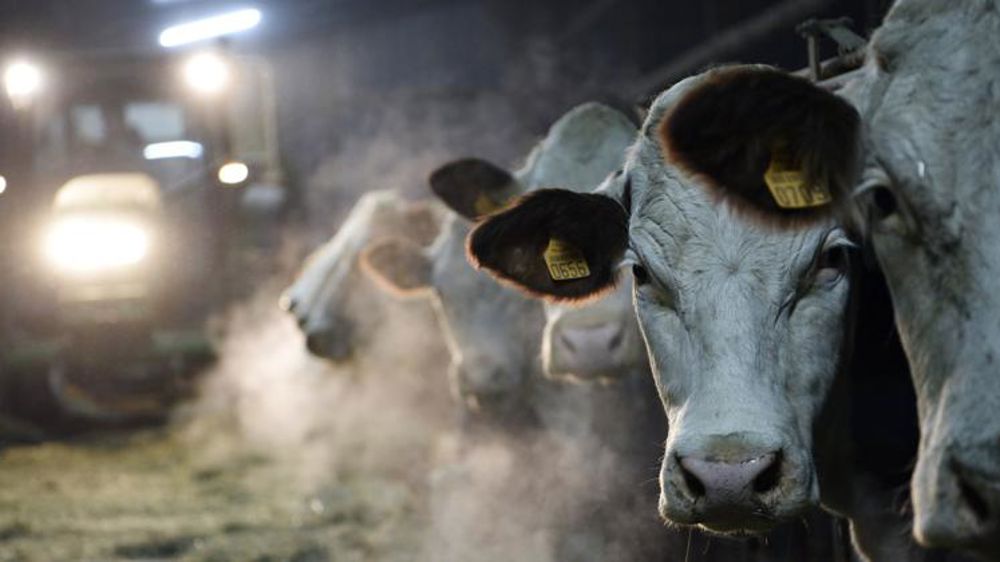 La production d’aliments bio a triplé en dix ans