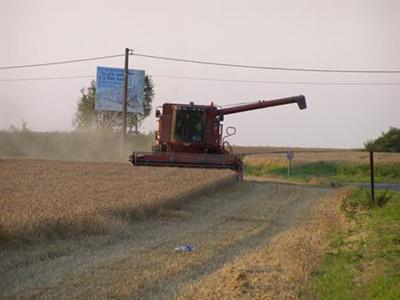 Chantier de récolte du blé tendre