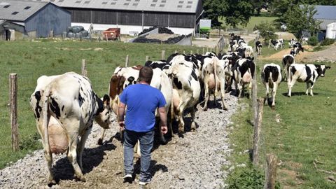Un éleveur laitier sur trois vit bien son métier Un éleveur laitier sur trois vit bien son métier