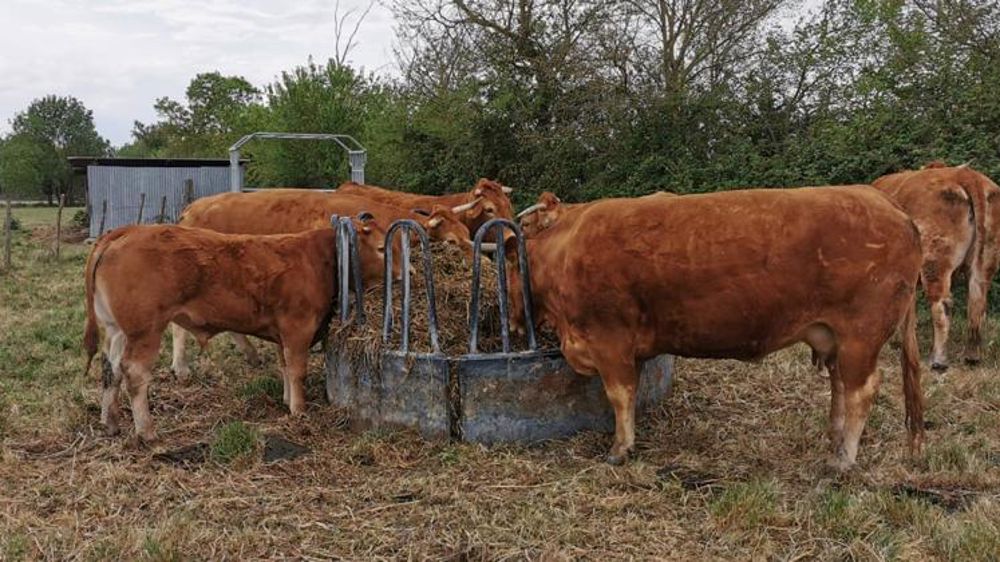 « On a commencé à amener du fourrage dans les prairies »