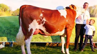 Les juges du concours se déplacent de ferme en ferme Les juges du concours se déplacent de ferme en ferme