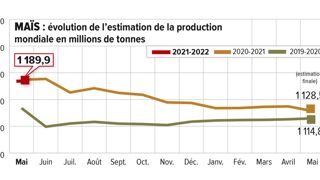La sécheresse plombe la production de maïs brésilien La sécheresse plombe la production de maïs brésilien