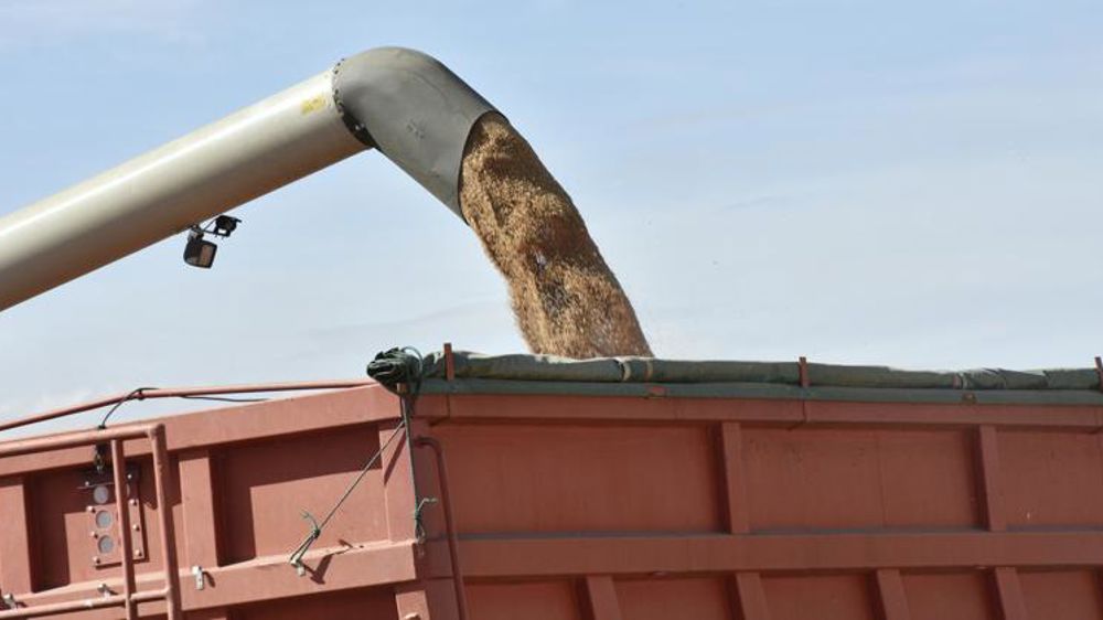 Blés et orges à la peine