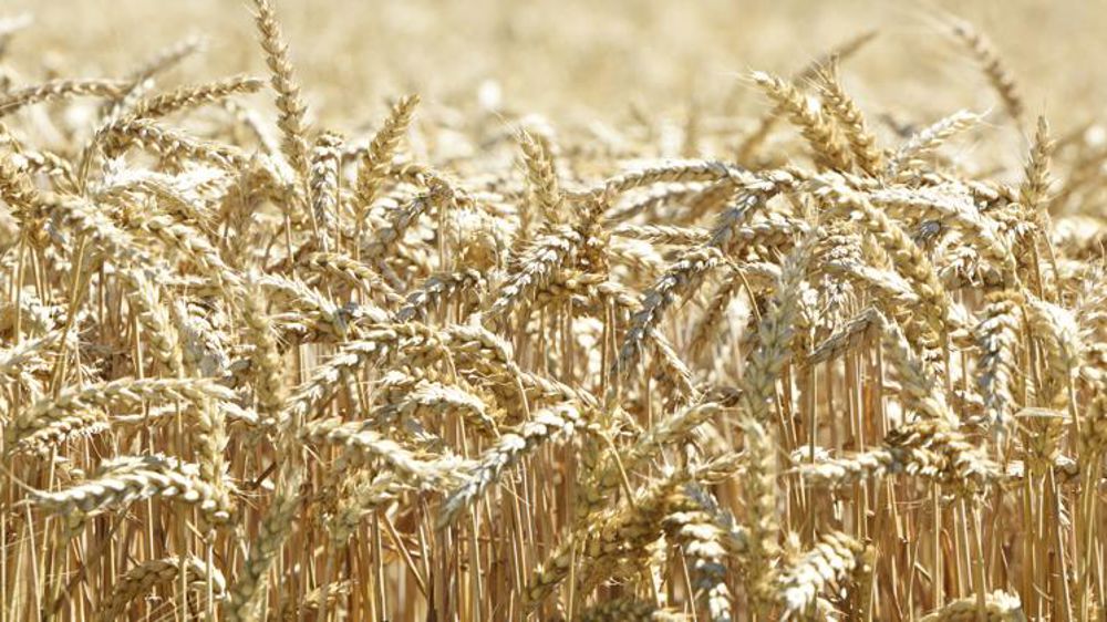 Une loi sur la table pour indiquer la présence de glyphosate dans les produits t