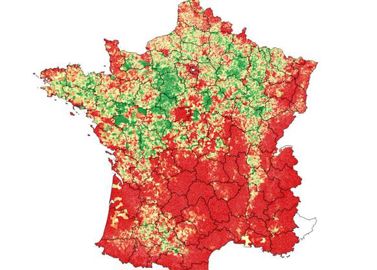 Répartition du colza selon les données du registre parcellaire graphique (RPG) de l’année 2019. © Xavier Bailleau