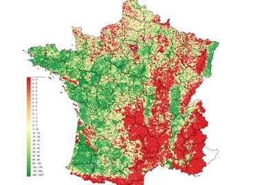 Répartition du maïs selon les données du registre parcellaire graphique (RPG) de l’année 2019. © Xavier Bailleau