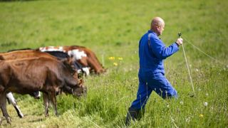 La définition de l’activité agricole, un « mastodonte » à dompter La définition de l’activité agricole, un « mastodonte » à dompter