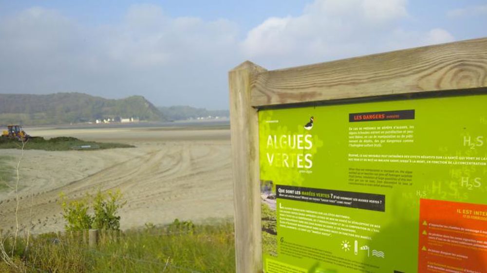 L’État condamné par la justice sur les algues vertes