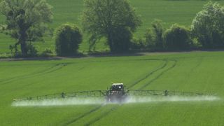 Les ventes de phytos ont bien baissé en 2019 Les ventes de phytos ont bien baissé en 2019