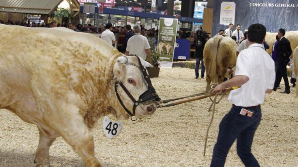 Le Herd-book charolais met le cap sur l’ère digitale